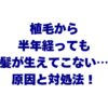植毛から半年経っても髪が生えてこない…考えられる原因と対処法を解説！